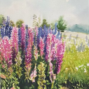 "Chochos camino a Balmaceda"