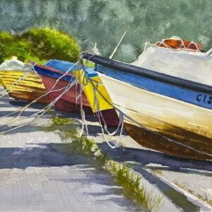 "Costanera Puerto Cisnes y algunas coliflores"